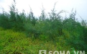 Cãi nhau với người yêu, nữ sinh bị hiếp tập thể Cãi nhau với người yêu, nữ sinh bị hiếp tập thể