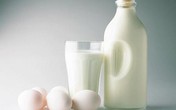 Bệnh nhi suýt tử vong vì dị ứng thức ăn Bệnh nhi suýt tử vong vì dị ứng thức ăn