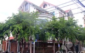 Choáng mắt vì nội thất gỗ mê ly Choáng mắt vì nội thất gỗ mê ly