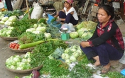 Xăng giảm nhỏ, giá đứng im, người tiêu dùng… chịu thiệt Xăng giảm nhỏ, giá đứng im, người tiêu dùng… chịu thiệt