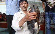 Hoảng hồn với cụ rùa nặng 12kg nửa đêm bò vào nhà dân Hoảng hồn với cụ rùa nặng 12kg nửa đêm bò vào nhà dân