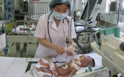 Mang họa vì 'bà đỡ vườn' Mang họa vì 'bà đỡ vườn'