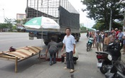Sau cú va chạm với xe tải, một phụ nữ tử vong Sau cú va chạm với xe tải, một phụ nữ tử vong