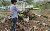 Bắt nam thanh niên cắt trộm dây cáp viễn thông Bắt nam thanh niên cắt trộm dây cáp viễn thông