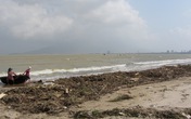 Rác tràn ngập bờ biển Đà Nẵng Rác tràn ngập bờ biển Đà Nẵng