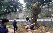 Thêm 8 doanh nghiệp công ích rút lương người lao động để trả cho sếp Thêm 8 doanh nghiệp công ích rút lương người lao động để trả cho sếp