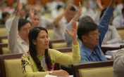 HĐND TP thông qua 13 dự thảo nghị quyết HĐND TP thông qua 13 dự thảo nghị quyết