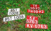 Gỗ lậu, nội tạng thối “vi hành” trên QL1A Gỗ lậu, nội tạng thối “vi hành” trên QL1A