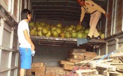 Quảng Bình: Liên tục bắt gỗ lậu trên QL1A Quảng Bình: Liên tục bắt gỗ lậu trên QL1A