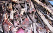 Liên tục bắt gỗ trắc trên QL1A đoạn qua Quảng Bình Liên tục bắt gỗ trắc trên QL1A đoạn qua Quảng Bình
