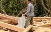 Cao Quảng tan hoang sau bão Cao Quảng tan hoang sau bão