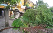Cận cảnh sự tàn phá sau bão số 6 Cận cảnh sự tàn phá sau bão số 6