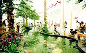 Đi đâu ngày 2/9? Đi đâu ngày 2/9?