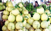 Kinh hoàng trái cây tẩm thuốc tăng ngọt nhanh chín Kinh hoàng trái cây tẩm thuốc tăng ngọt nhanh chín