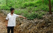 Bạn trai làm ngơ để nữ sinh bị hãm hiếp Bạn trai làm ngơ để nữ sinh bị hãm hiếp