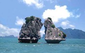 Sẽ công bố thêm các “điểm đen” du lịch Sẽ công bố thêm các “điểm đen” du lịch