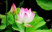 Đừng bao giờ đổ lỗi cho hoàn cảnh! Đừng bao giờ đổ lỗi cho hoàn cảnh!