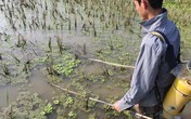 Nghệ An vào mùa tận diệt thủy sinh Nghệ An vào mùa tận diệt thủy sinh
