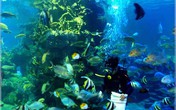 “Thám hiểm” đại dương giữa lòng Hà Nội “Thám hiểm” đại dương giữa lòng Hà Nội