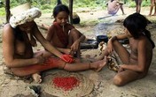 Bộ tộc "trần truồng" và tập tục xuyên xương khỉ qua môi Bộ tộc "trần truồng" và tập tục xuyên xương khỉ qua môi