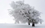 Ngắm 6 cảnh tuyệt đẹp chỉ có vào mùa đông Ngắm 6 cảnh tuyệt đẹp chỉ có vào mùa đông