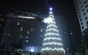 Cây thông kỷ lục Việt Nam có mặt tại Royal City Cây thông kỷ lục Việt Nam có mặt tại Royal City