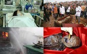 Dư luận tuần qua: Kinh hoàng vụ thai phụ bị chém vào bụng, rơi con ra ngoài Dư luận tuần qua: Kinh hoàng vụ thai phụ bị chém vào bụng, rơi con ra ngoài