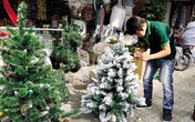 Thị trường Noel trầm lắng Thị trường Noel trầm lắng