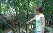 Tấn thảm kịch yêu sớm của cô gái trẻ Tấn thảm kịch yêu sớm của cô gái trẻ