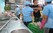 Lòng, tai heo: Nhìn là khiếp! Lòng, tai heo: Nhìn là khiếp!