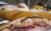 Điểm mặt những thực phẩm bẩn đang đầu độc con người Điểm mặt những thực phẩm bẩn đang đầu độc con người