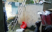 Hãi hùng đá viên, nước đóng chai Hãi hùng đá viên, nước đóng chai