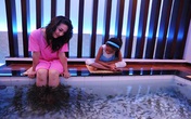 10.000 đồng một con cá massage 10.000 đồng một con cá massage