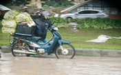 Gần 100 nghìn một lần đi chợ hộ ngày mưa bão Gần 100 nghìn một lần đi chợ hộ ngày mưa bão