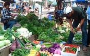 Rau đắt đỏ, người dân 'nhắm mắt' ăn hàng Trung Quốc Rau đắt đỏ, người dân 'nhắm mắt' ăn hàng Trung Quốc