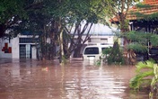 Bình Dương 'tan hoang' trong trận ngập chưa từng có Bình Dương 'tan hoang' trong trận ngập chưa từng có