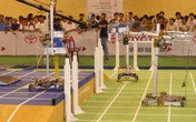 Việt Nam lần đầu tổ chức cuộc thi Robothon Quốc gia Việt Nam lần đầu tổ chức cuộc thi Robothon Quốc gia