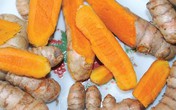 Công dụng chữa bệnh tuyệt vời của Nano Curcumin chiết xuất từ củ nghệ Công dụng chữa bệnh tuyệt vời của Nano Curcumin chiết xuất từ củ nghệ