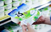 Tiêu chuẩn sữa chua sản xuất công nghiệp tại Việt Nam Tiêu chuẩn sữa chua sản xuất công nghiệp tại Việt Nam