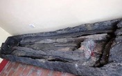 Bí ẩn nghĩa địa mộ thân cây ở Việt Nam Bí ẩn nghĩa địa mộ thân cây ở Việt Nam