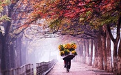 Những mùa thu đẹp nhất trên thế giới Những mùa thu đẹp nhất trên thế giới