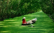 Hồng nhan bạc phận? Hồng nhan bạc phận?
