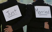 Chính phủ nói gì về hôn nhân đồng giới? Chính phủ nói gì về hôn nhân đồng giới?
