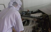 Bún sạch khổ vì bún “bẩn” Bún sạch khổ vì bún “bẩn”