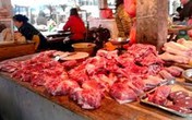 Đưa lợn chết ra thị trường tiêu thụ Đưa lợn chết ra thị trường tiêu thụ