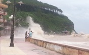 Háo hức xem bão số 6, một học sinh bị cuốn trôi xuống biển Háo hức xem bão số 6, một học sinh bị cuốn trôi xuống biển