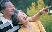 Thức ăn chay - "thần dược phòng the" cho bậc cao niên Thức ăn chay - "thần dược phòng the" cho bậc cao niên