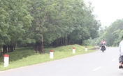 Thâm nhập “vùng đất tử thần” (cuối): Những người "qua mặt thần chết" Thâm nhập “vùng đất tử thần” (cuối): Những người "qua mặt thần chết"