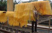 Miến tẩy trắng không độc bằng miến nhuộm Miến tẩy trắng không độc bằng miến nhuộm