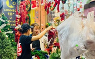 Thông tươi giá rẻ được chị em ‘săn đón’ trang trí dịp Giáng sinh 2025